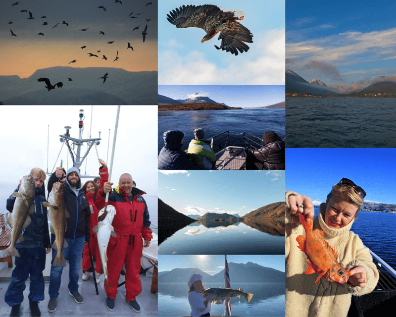 From Tromso: Polar Fishing Adventure - The Itinerary Breakdown