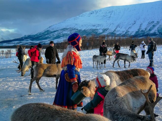 From Tromsø: Reindeer Feeding and Sami Experience With Lunch - Customer Reviews