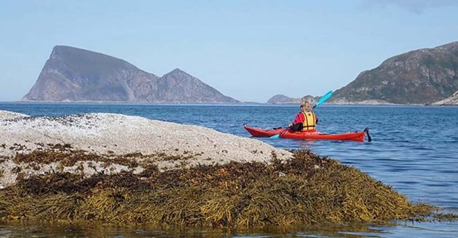 From Tromsø: Sea Kayaking Tour at Sommarøy With Transfer - Inclusions and Requirements