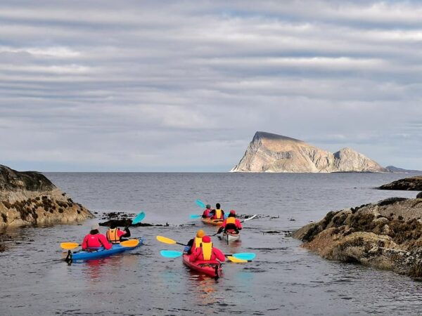 From Tromsø: Sea Kayaking Tour at Sommarøy With Transfer - Suitability and Restrictions