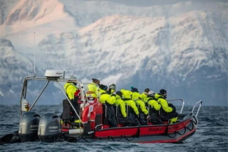 From Tromsø: Skjervoy Whale Watching RIB Boat Tour - FAQ