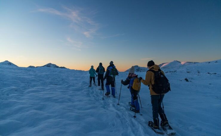 From Tromso: Small-group Snowshoeing Tour - Experience Highlights
