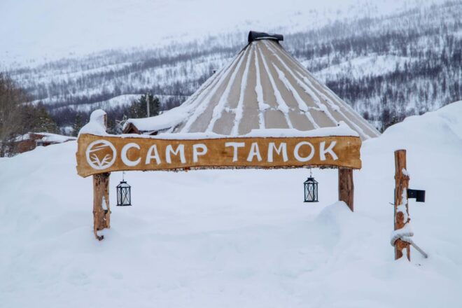 From Tromsø: Snowmobiling Tour at Camp Tamok - Customer Reviews and Feedback