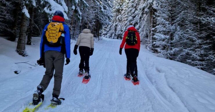 From Tromsø: Snowshoe Hike in the Arctic - Experience Highlights