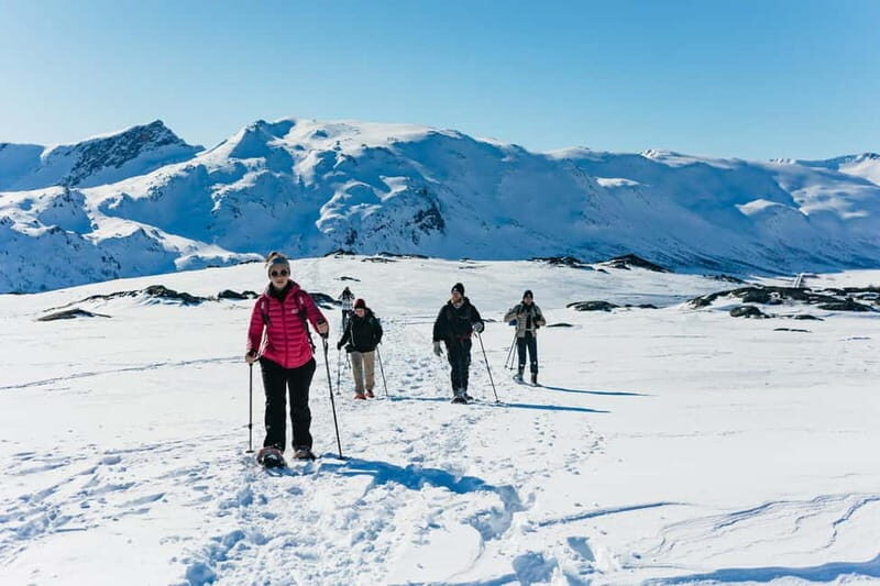 From Tromsø: Snowshoeing Hike with Picnic Lunch and Photos - The Value Proposition