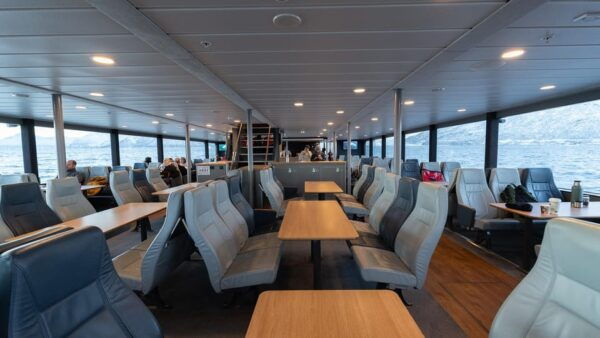 From Tromsø: Whale Watching Safari on High-Speed Catamaran - Customer Reviews