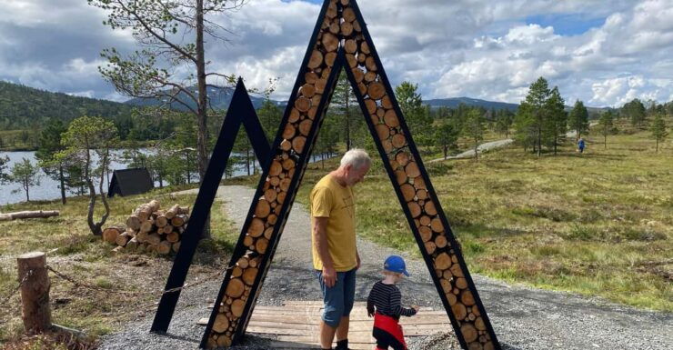 From Trondheim: Day Tour to Home of the Trolls - Experience Highlights