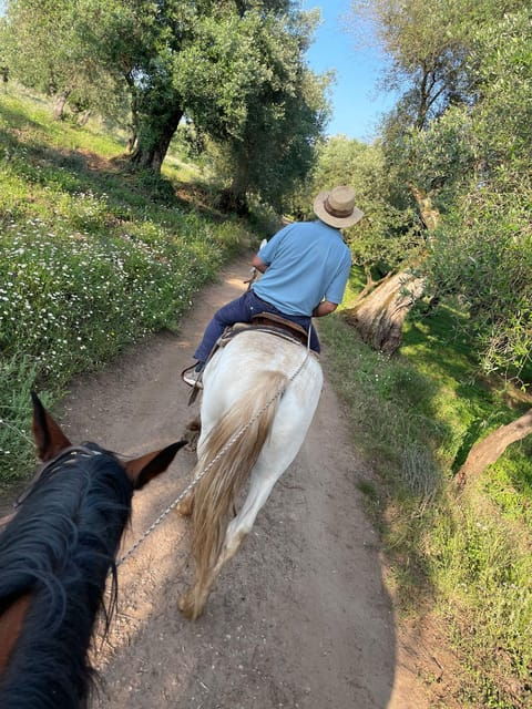From Tropea: Horseback Riding Tour With Picnic in Francica - Inclusions and Optional Services