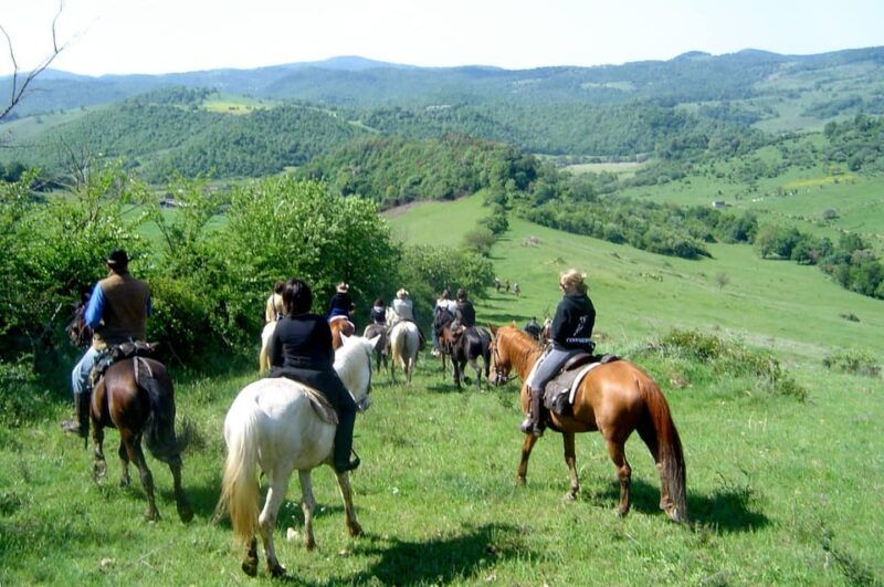 From Tropea: Horseback Riding Tour With Picnic in Francica - Scenic Routes and Surroundings