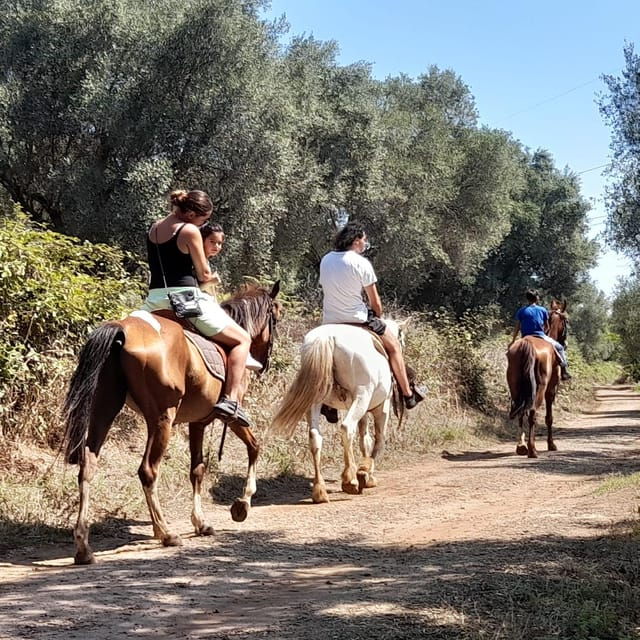 From Tropea: Horseback Riding Tour With Picnic in Francica - What to Expect During the Tour