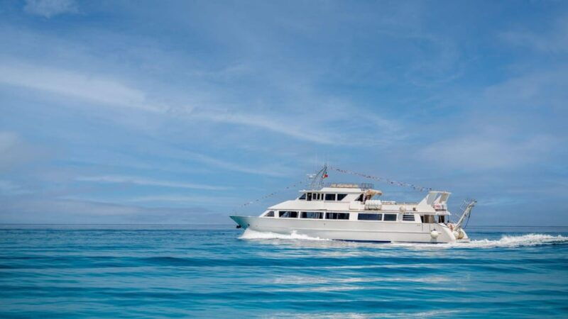 From Tropea: Lipari Panarea Stromboli Night Cruise - Good To Know