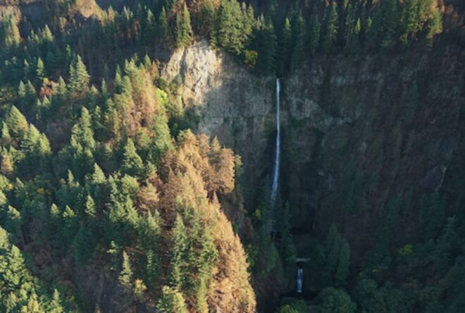 From Troutdale: Waterfalls Gorge Helicopter Tour - Important Information