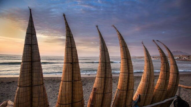 From Trujillo Chan Chan and Huanchaco Beach Tour- English - Inclusions