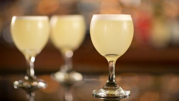 From Trujillo: Chan Chan, Huanchaco, and Pisco Sour Tasting - Availability and Booking