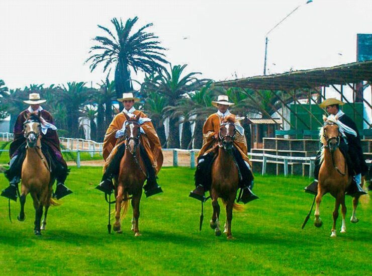 From Trujillo: Full Day With Paso Horses and Sailor Show - On-Site Activities Overview