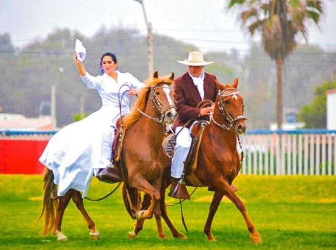 From Trujillo: Full Day With Paso Horses and Sailor Show - Language Options