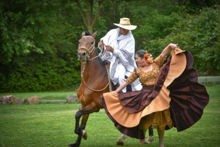From Trujillo Marinera Show With Peruvian Paso Horses - Booking Details