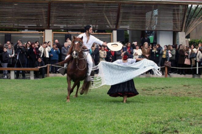 From Trujillo Marinera Show With Peruvian Paso Horses - Experience Highlights