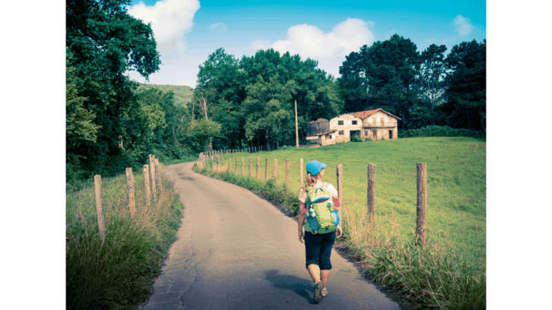From Tui: 9-Day Guided Camino Walking Tour to Santiago - Itinerary and Experience