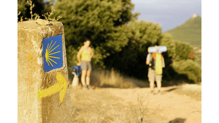 From Tui: 9-Day Guided Camino Walking Tour to Santiago - Cultural and Scenic Highlights