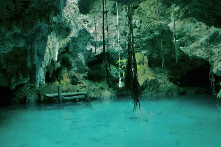 From Tulum: Cenote Riviera Maya & Snorkel Excursion - Experience Highlights