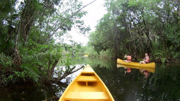 From Tulum: Four-Cenote Adventure - Tour Details