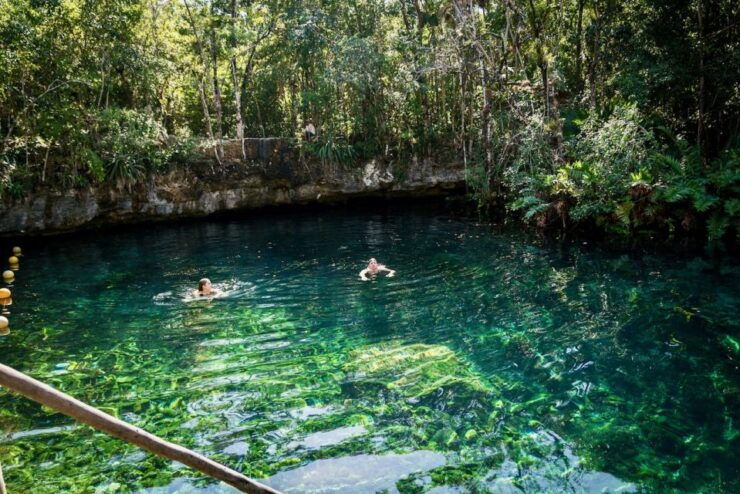 From Tulum: Four-Cenote Adventure - Booking Information