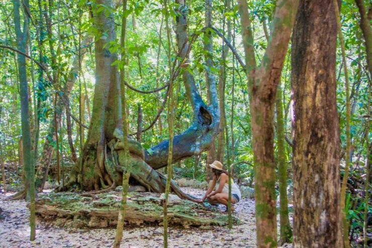 From Tulum: Sian Ka'An Muyil Lagoon Tour - Tour Highlights