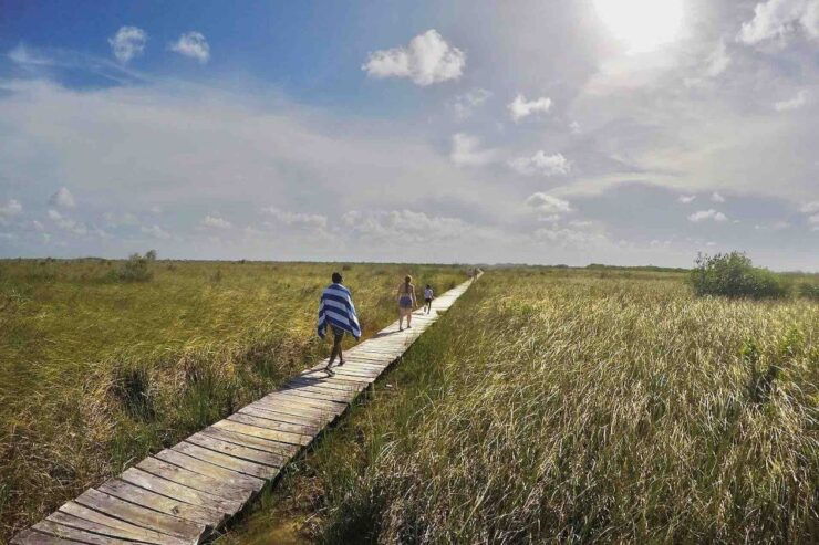 From Tulum: Sian Ka'An Muyil Lagoon Tour - Experience the Muyil Lagoon