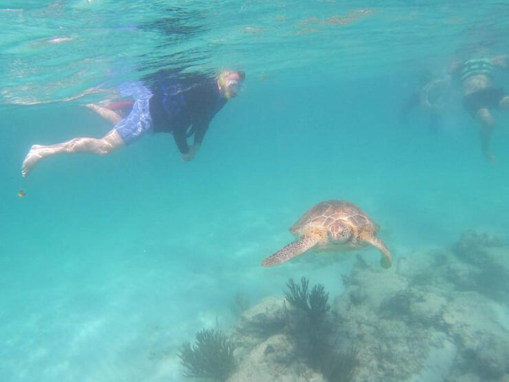From Tulum: Tulum Ruins, Turtle Snorkeling and GoPro Fotos - Itinerary and Experience