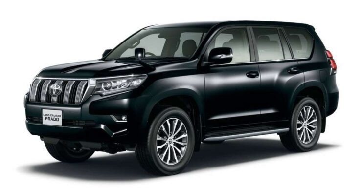 From Tunis: 1-Way Private Transfer to Hammamet - Activity Details