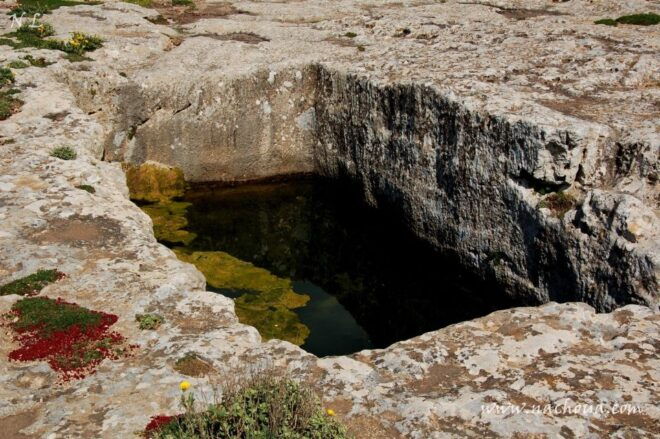 From Tunis: Day Trip to Kef & Jugurtha Tableland With Lunch - Highlights