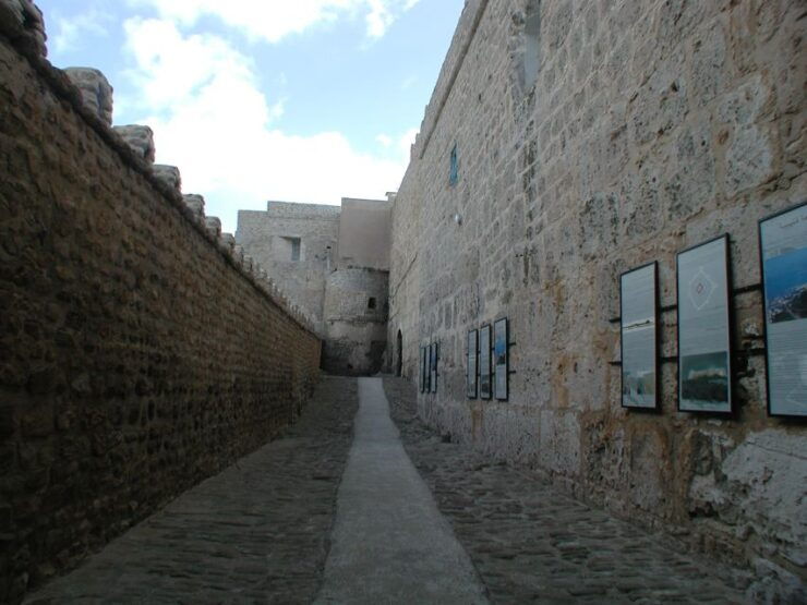 From Tunis: Full-Day Cape Bon Tour With Lunch - Experience