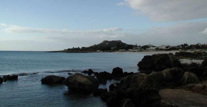 From Tunis: Full-Day Cape Bon Tour With Lunch - Additional Details