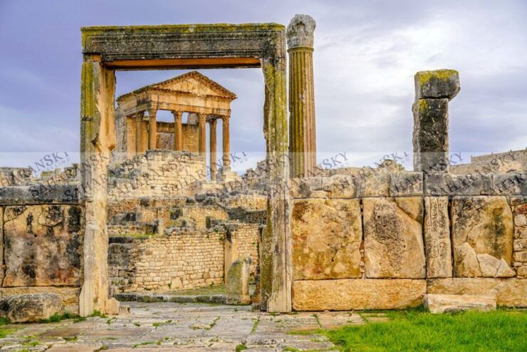 From Tunis: Half-Day Dougga Tour - Activity Details and Booking Information