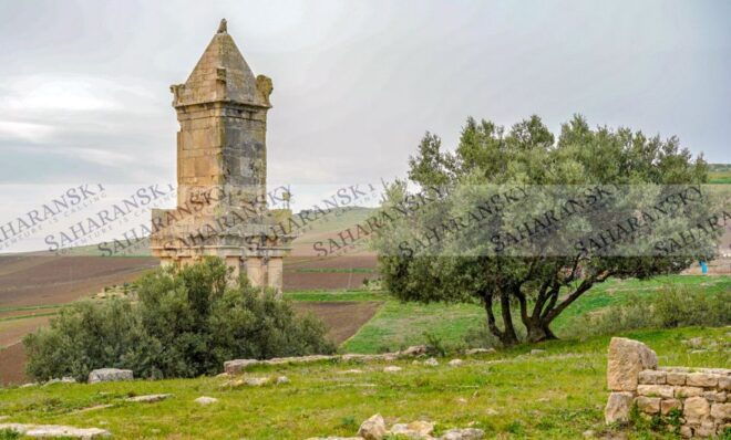 From Tunis: Half-Day Dougga Tour - Customer Review