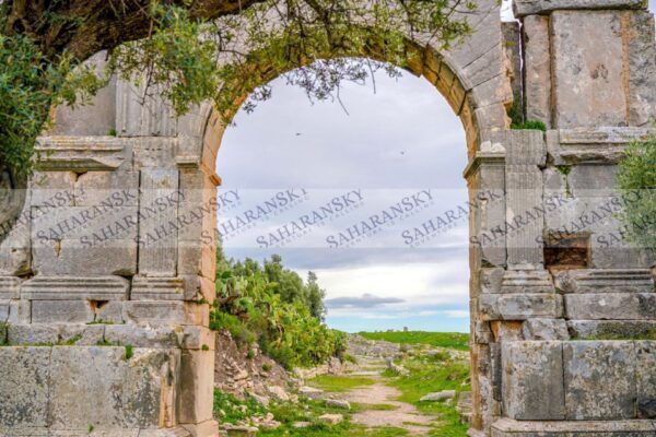 From Tunis: Half-Day Dougga Tour - The Sum Up