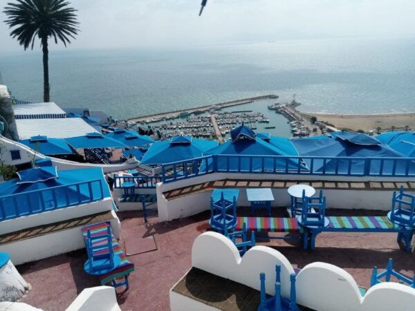From Tunis: Half-Day Tour to Carthage and Sidi Bou Said - Directions