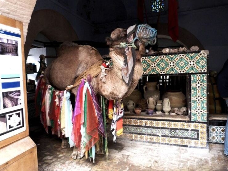 From Tunis, Hammamet, or Sousse: Private Kairouan Day Trip - Cultural and Historical Significance