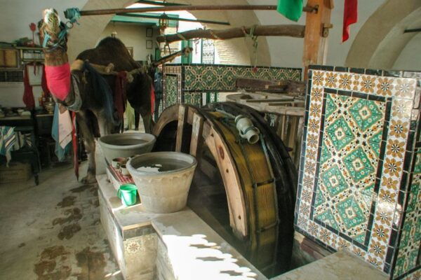 From Tunis: Kairouan, El Jem, & Sousse Day Trip With Lunch - Common Questions