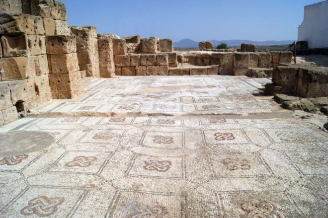 From Tunis: Oudhna, Testour, Djebba, and Dougga Day Tour - Reviews