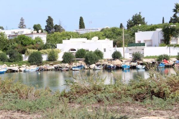 From Tunis Port: Tunis, Carthage, & Sidi Bou Said Tour - Background