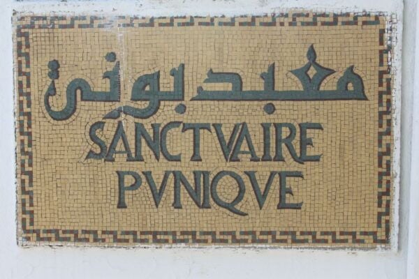 From Tunis Port: Tunis, Carthage, & Sidi Bou Said Tour - Other Information