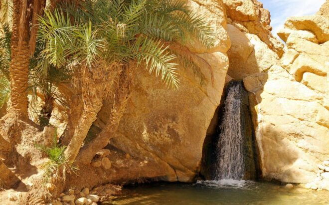From Tunis: Private North to South 3-Day Tour of Tunisia - Day 3: Chott Djerid, Douz, and Matmata