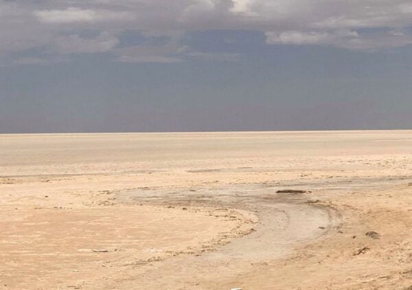 From Tunis: Private North to South 3-Day Tour of Tunisia - Inclusions