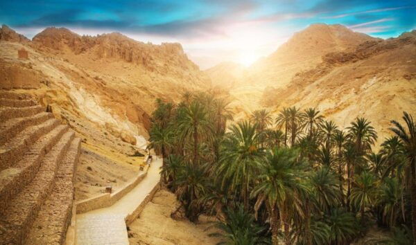 From Tunis: Private North to South 3-Day Tour of Tunisia - Common Questions