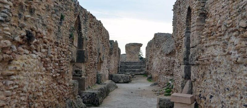 From Tunis/Sousse: Medina Bardo Carthage, Sidi Boussaid Tour - Transportation and Accessibility