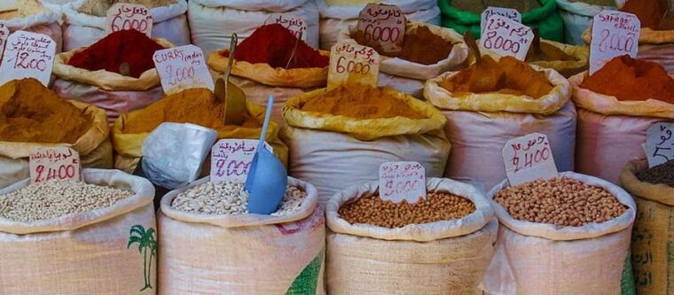 From Tunis/Sousse: Medina Bardo Carthage, Sidi Boussaid Tour - Whats Included