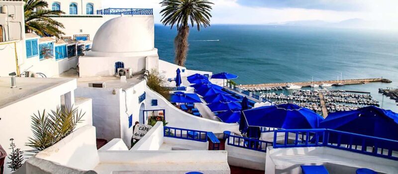 From Tunis/Sousse: Medina Carthage, Sidi Boussaid Tour - Complete Breakdown of the Experience