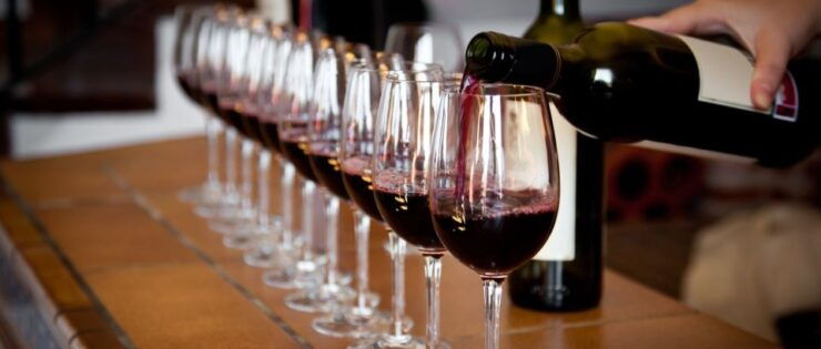 From Tunis: Visit of Hammamet & Wine Tasting Experience - Activity Details and Benefits